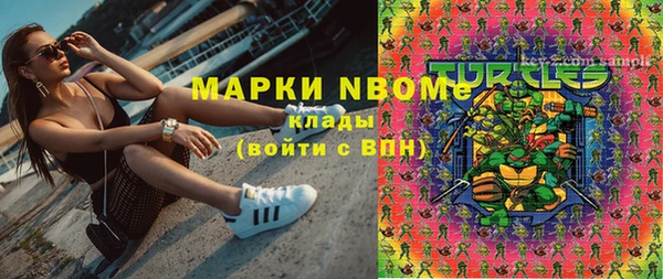 прущие грибы Новодвинск